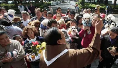 Hàng chục người mang thú cưng đến để được ban phước tại nhà thời San Fernando Catholic. Ảnh Reuters