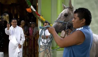 Cha xứ làm lễ rẩy nước thánh cho ngựa. Ảnh Reuters