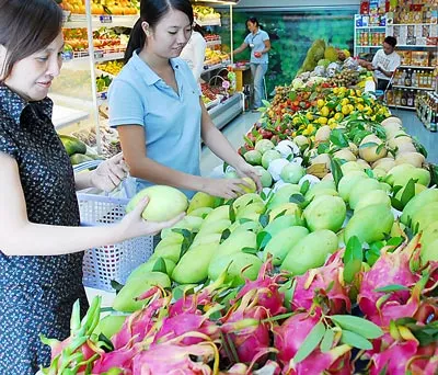 Trái cây lận đận tìm đường xuất ngoại