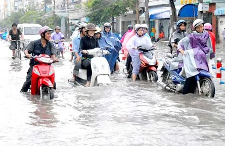 TPHCM huy động tổng lực ứng phó với biến đổi khí hậu