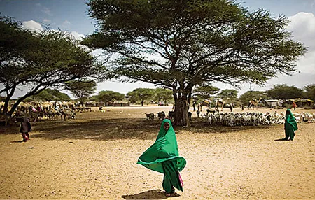 Kenya và Somalia: Bạo lực không chỉ ở vùng biên giới