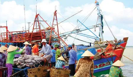 Cảng cá Ba Tri phát huy hiệu quả