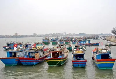Tàu thuyền tránh bão tại Quảng Bình. Ảnh: Đình Tứ