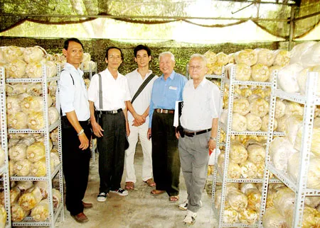 Hội đồng khoa học do Sở Khoa học Công nghệ chủ trì xuống kiểm tra việc trồng nấm Thượng Hoàng tại Trung tâm nghiên cứu Linh chi và Nấm dược liệu. Ảnh: C.Đ.T.