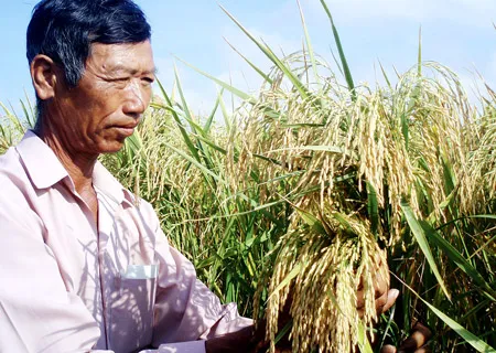 Tôn vinh những nông dân chân đất