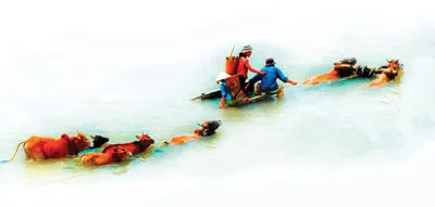 Triển lãm ảnh nghệ thuật quốc tế lần 5: “Rừng cây mùa đông” và “Mùa lũ” đoạt giải cao nhất