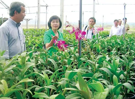 Khu Nông nghiệp công nghệ cao TPHCM: Sức hút bất ngờ