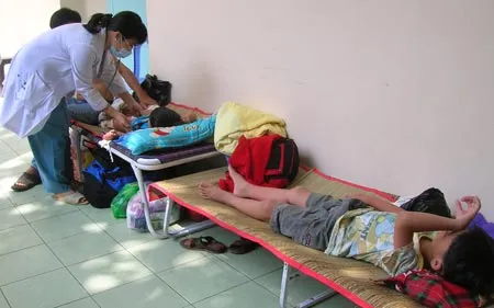 TP Hồ Chí Minh: Gia tăng bệnh nhi mắc sốt xuất huyết