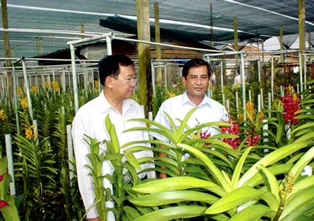 Nông dân thành phố làm theo mong ước Bác Hồ