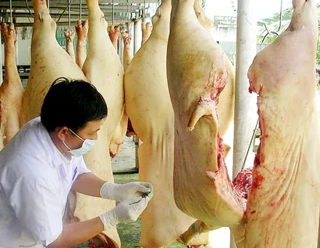 Hàng rào kỹ thuật an toàn thực phẩm: Quá yếu