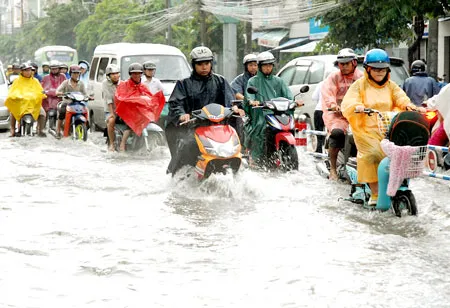 “Mềm và cứng” với nước ngập