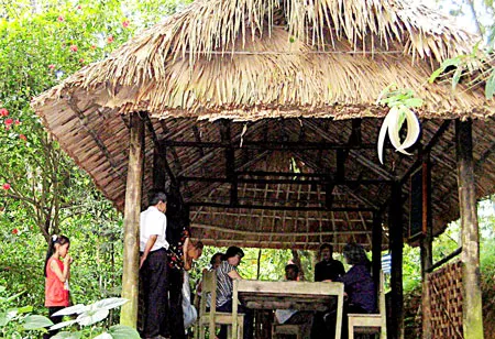 Lần Bác ốm ở Tân Trào