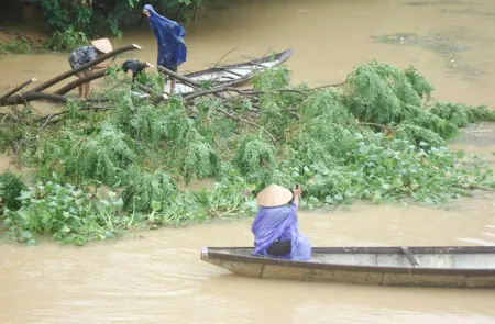 Miền Trung: Lũ trên các sông đang xuống chậm ảnh 2