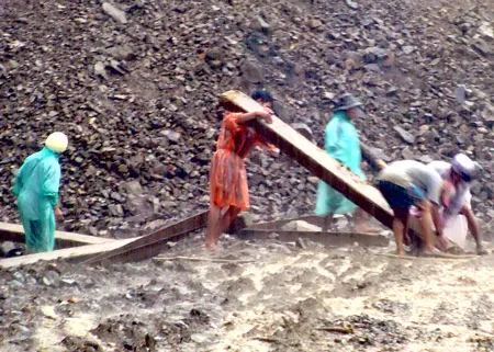 Đà Nẵng: Chuyển gỗ lậu giữa ban ngày