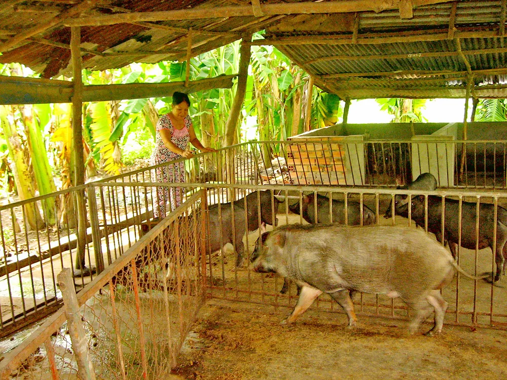 Anh thương binh tỷ phú