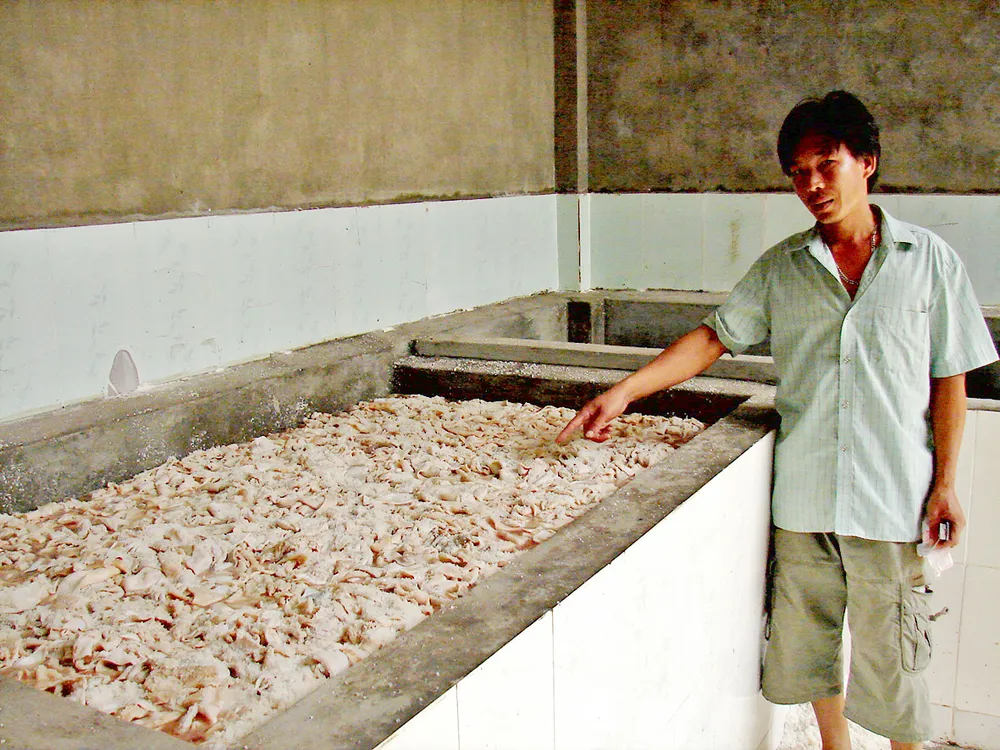 “Đột nhập” làng làm bì heo thối