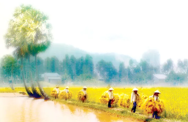 Góc ảnh đẹp ảnh 2