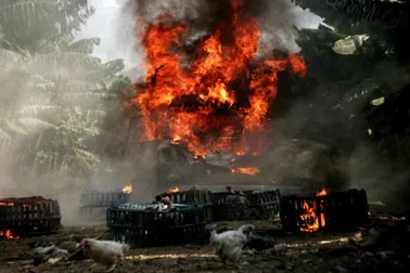 Một cảnh trong phim Lebannon