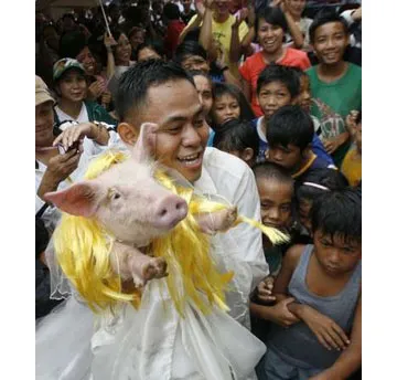 Heo đóng vai "cô dâu", còn chú rể là người thật