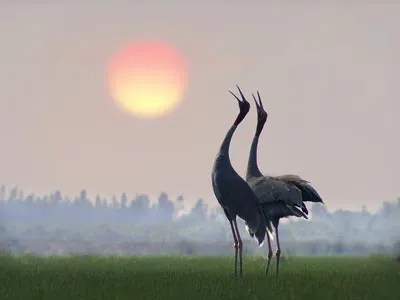 Liên hoan ảnh nghệ thuật ĐBSCL lần thứ 24: Sự khẳng định của các tay máy trẻ