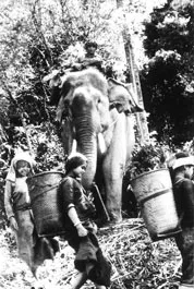 Đường trong mây