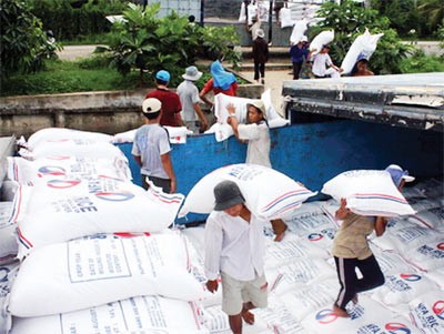 Rice loaded on a boat to transport to Ba Dac wholesale rice market in Tien Giang Province in the Mekong Delta (Photo: SGGP)