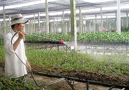 Phát triển nông nghiệp đô thị-Có mô hình, khó nhân rộng