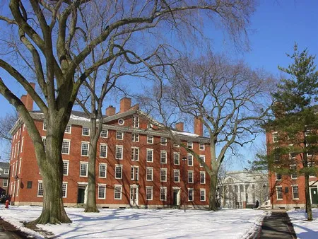 Xếp hạng 100 trường đại học tốt nhất thế giới: Harvard và Cambridge vẫn đầu bảng