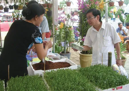 Ven đô nở rộ rau mầm