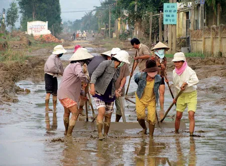 Quảng Nam sau lũ: Nông dân cần giống
