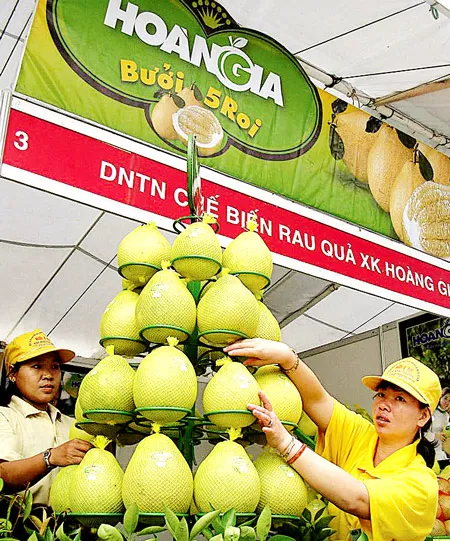 “Làm giá” đặc sản miền Tây