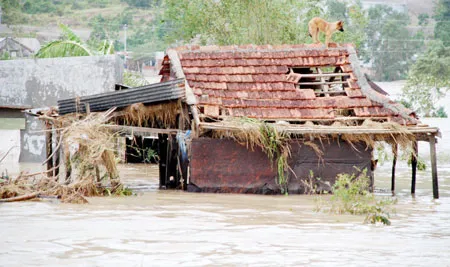 Xơ xác vùng lũ Quy Nhơn (Bình Định) Ảnh: HIỀN PHƯƠNG