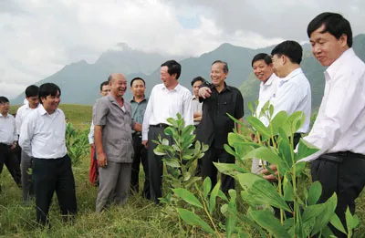 Màu xanh mới vùng biên cương