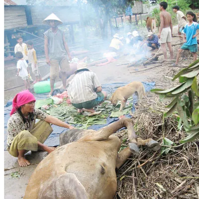 Thiệt hại do bão lũ tiếp tục tăng