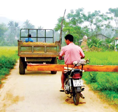 “Máu” rừng cứ chảy!