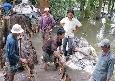Nước lên cao, bờ bao “theo” chậm
