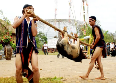 Làm thịt heo mừng lúa mới. Ảnh: Công Hoan
