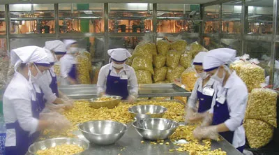 Vai trò của hiệp hội trong xuất khẩu nông sản - Bài 2: Có nên “gác cổng”?