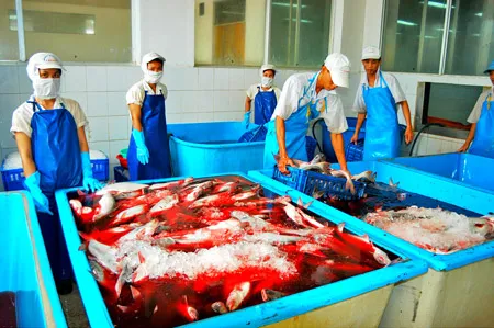 Viết tiếp về vai trò hiệp hội trong xuất khẩu nông sản: Nhà nước hay hiệp hội?
