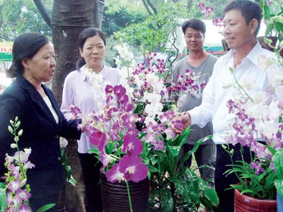 Vườn lan Thảo Nhi