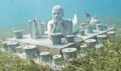 Dự án nhằm khuyến khích các vị khách tránh xa vùng san hô bị phá hủy trong Công viên quốc gia bờ tây. Mỗi năm, gần 300.000 du khách đã tới khu vực này để khám phá nước biển ngọc lam, khiến cho sinh vật biển ở đây bị phá hủy