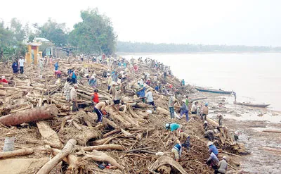 Bài 4.  Rừng xanh bị cạo trọc, lũ càng dữ dội...