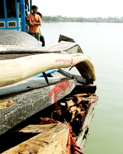 Thừa Thiên - Huế: Hỗn chiến giữa các tàu cá trên biển