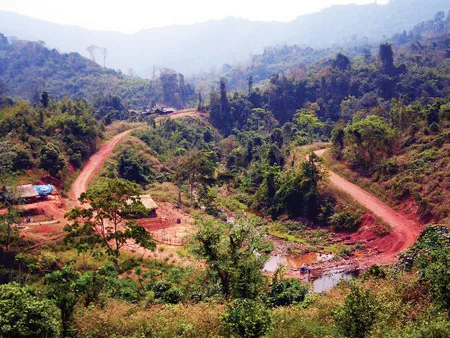 Khu vực Đinh Mì hạ con hổ lớn.