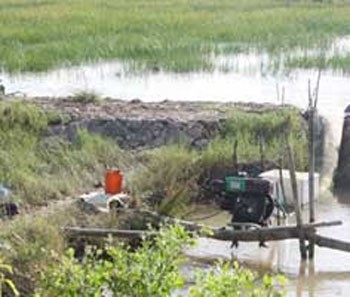 A pump takes water from a depleted canal to replenish a rice field in Bac Lieu Province, December 2009. The Mekong Delta could face a severe drought in 2010. (Photo: Lao Dong)