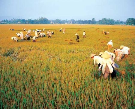 For every lost hectare of land, up to 10 local residents are negatively affected, says the Ministry of Agriculture and Rural Area Development.