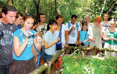 Tourists at the Cu Chi tunnels near HCMC. Vietnam saw tourist arrival numbers fall by 11 percent last year, much higher than in neighboring countries (Photo: SGGP)