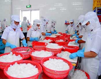 Workers process cuttlefish for export at Saigon Fisheries Trading JS Co. The Government aims to keep the trade deficit under 20 percent of exports and achieve a GDP growth rate of 6.7-6.8 percent. (Photo: SGGP)