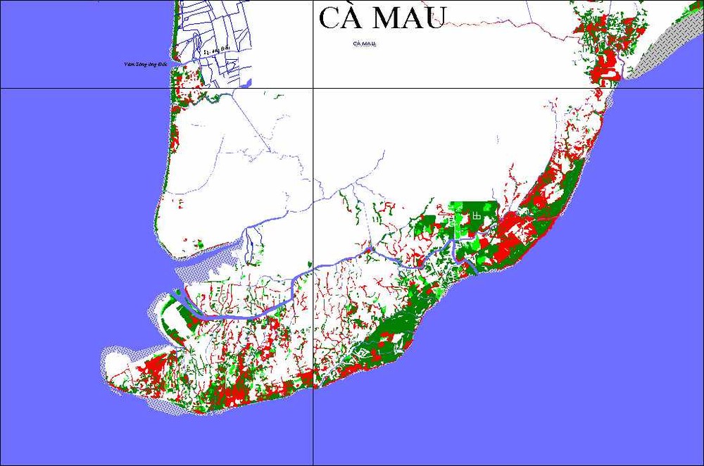 A brackish forest map of Ca Mau Province (map by the Vietnam Environment Administration)