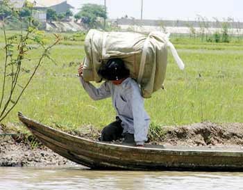 Smuggling spikes at Cambodian border in Tet lead-up ảnh 1